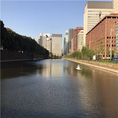 永恒仙域安锋版下载